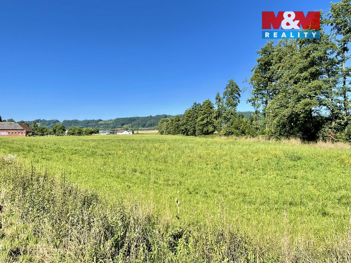 Prodej pozemku k bydlení, 5033 m², Damníkov - 5