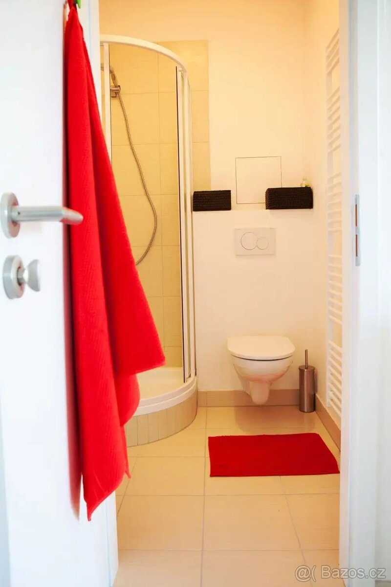 Pronájem bytu 1+kk 40 m² - 5