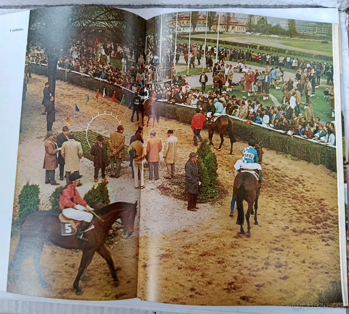 Jezdectví a dostihový sport - 5