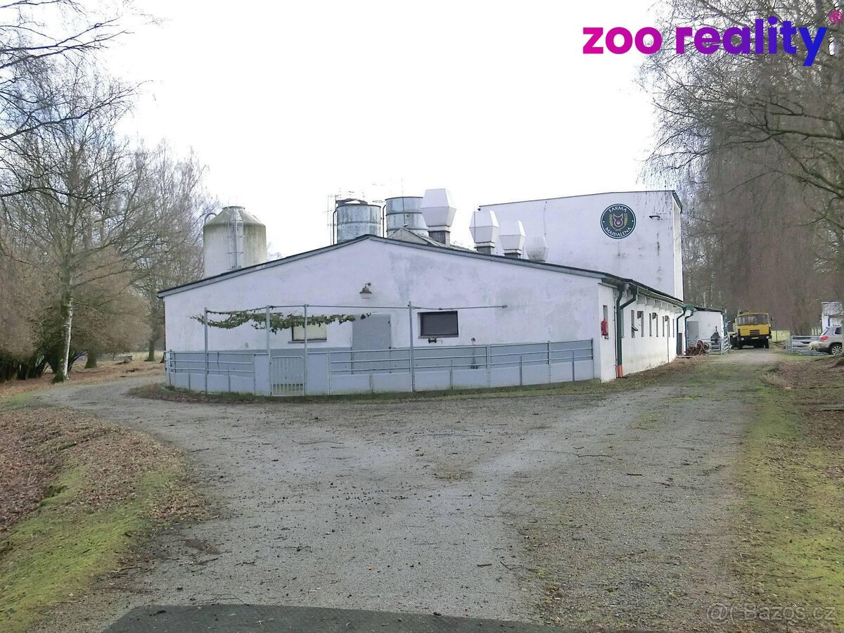 Prodej, Zemědělský objekt, 18720m² - Majdalena - 5