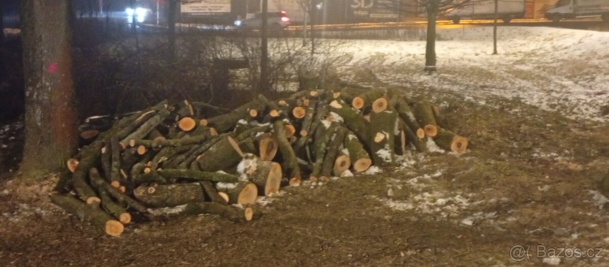 Palivové dřevo - 5