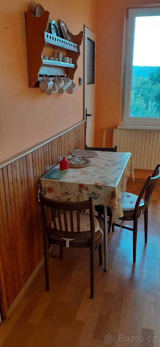 Pronajmu 3plus1 v RD. Kamionaci a pendleri - 5