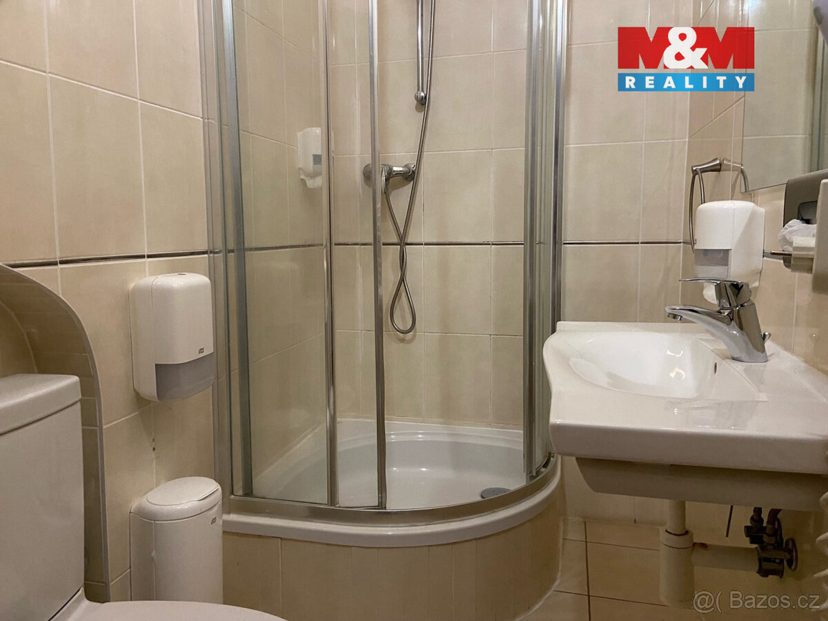 Pronájem apartmánu, 110 m², Plzeň, ul. Zbrojnická - 5