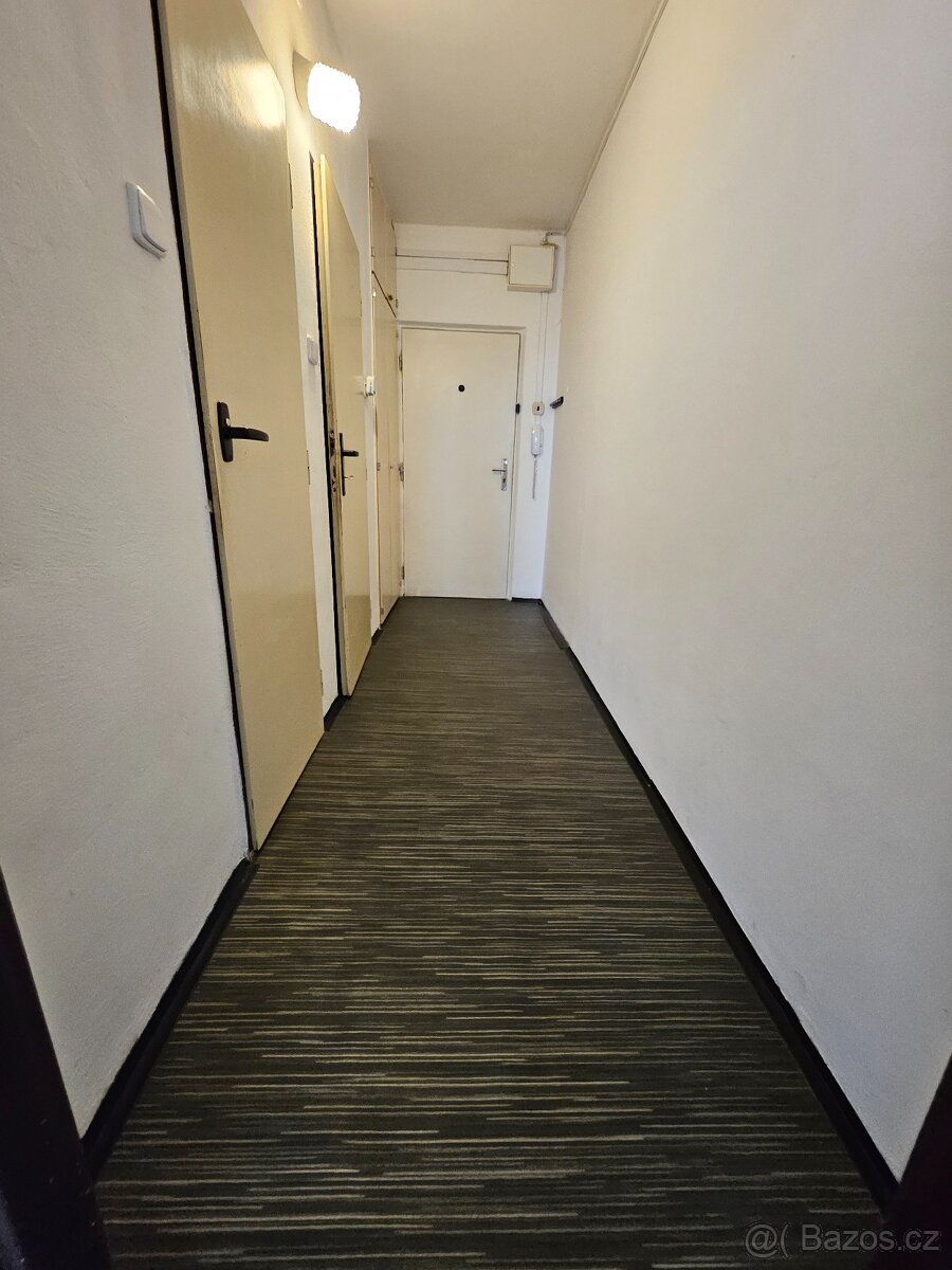 Pronájem bytu 1+kk s balkónem, Holý vrch - 5