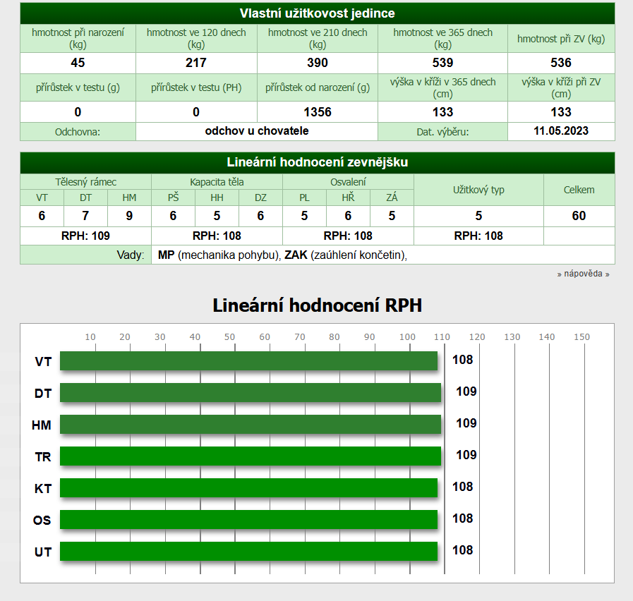 Plemenný býk Aberdeen Angus Black - 5
