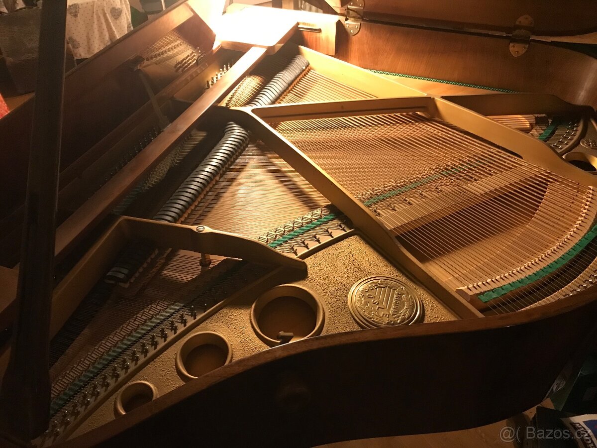 Křídlo Rösler - 5