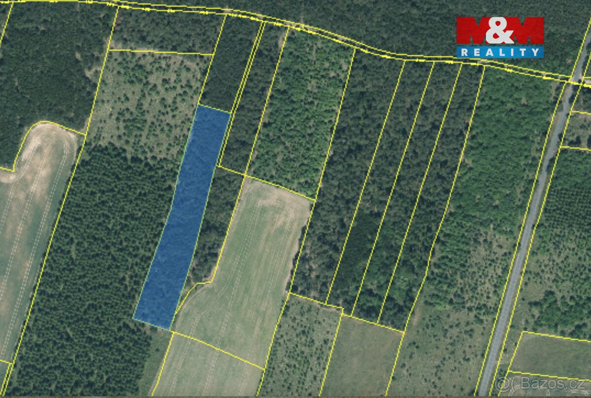 Prodej lesa, 6619 m², Řeřichy - 5