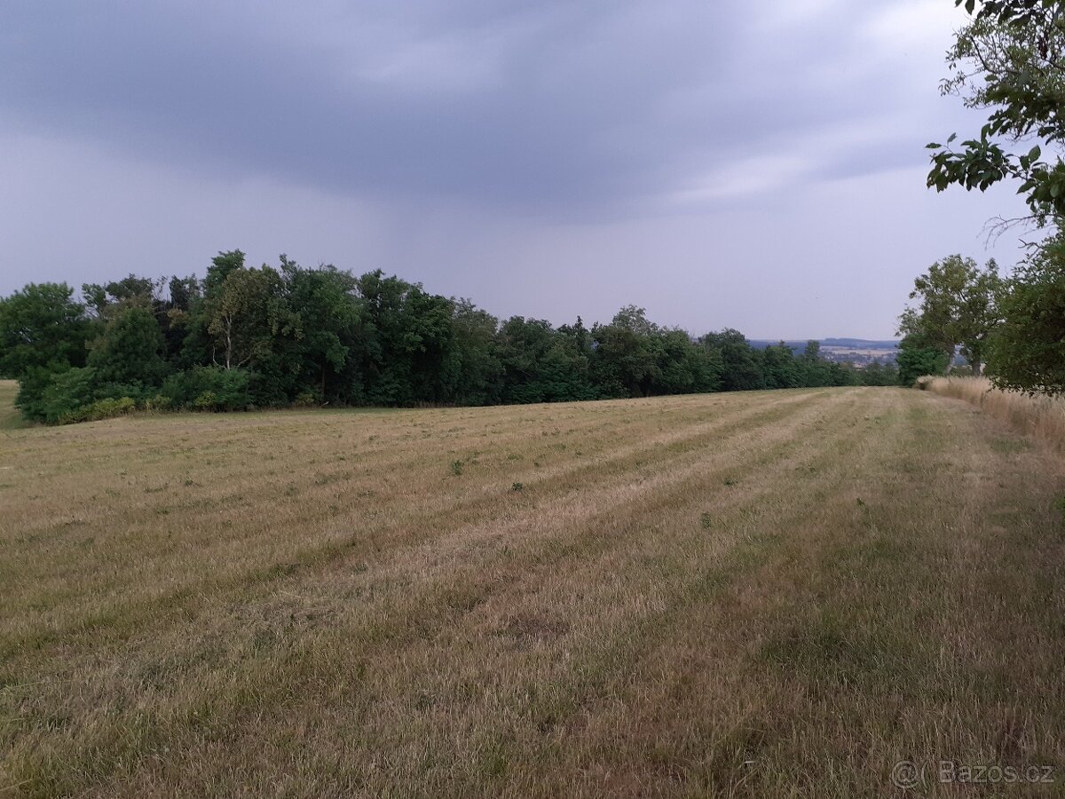 Prodej 0,13 ha pozemku - investiční příležitost - Neslovice - 5