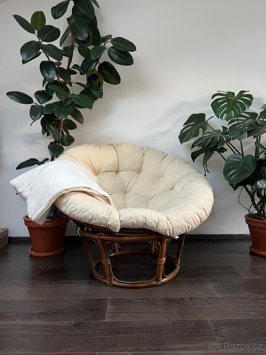 Papasan - 5