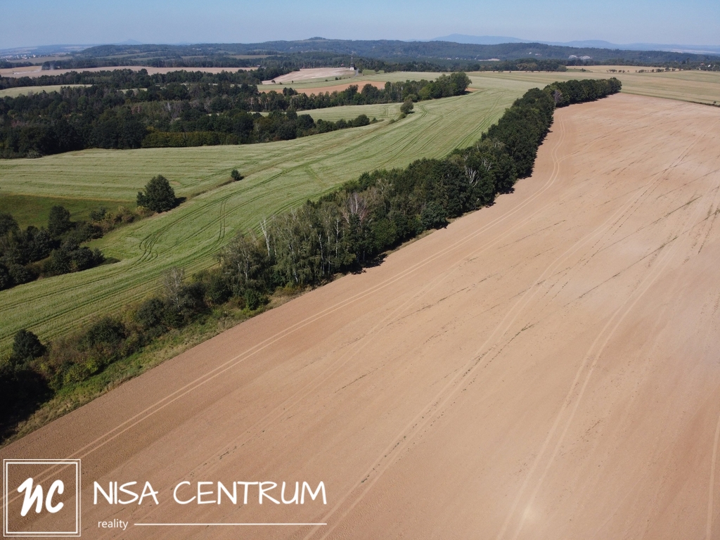 Prodej lesa 3 075 m² v Obrubech - 5