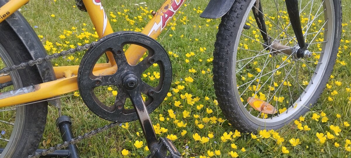 Author Energy 20" - 5