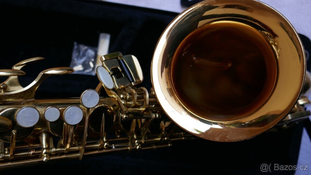 ALT SAXOFON ELKHART SERIES II//POUZDRO - 5