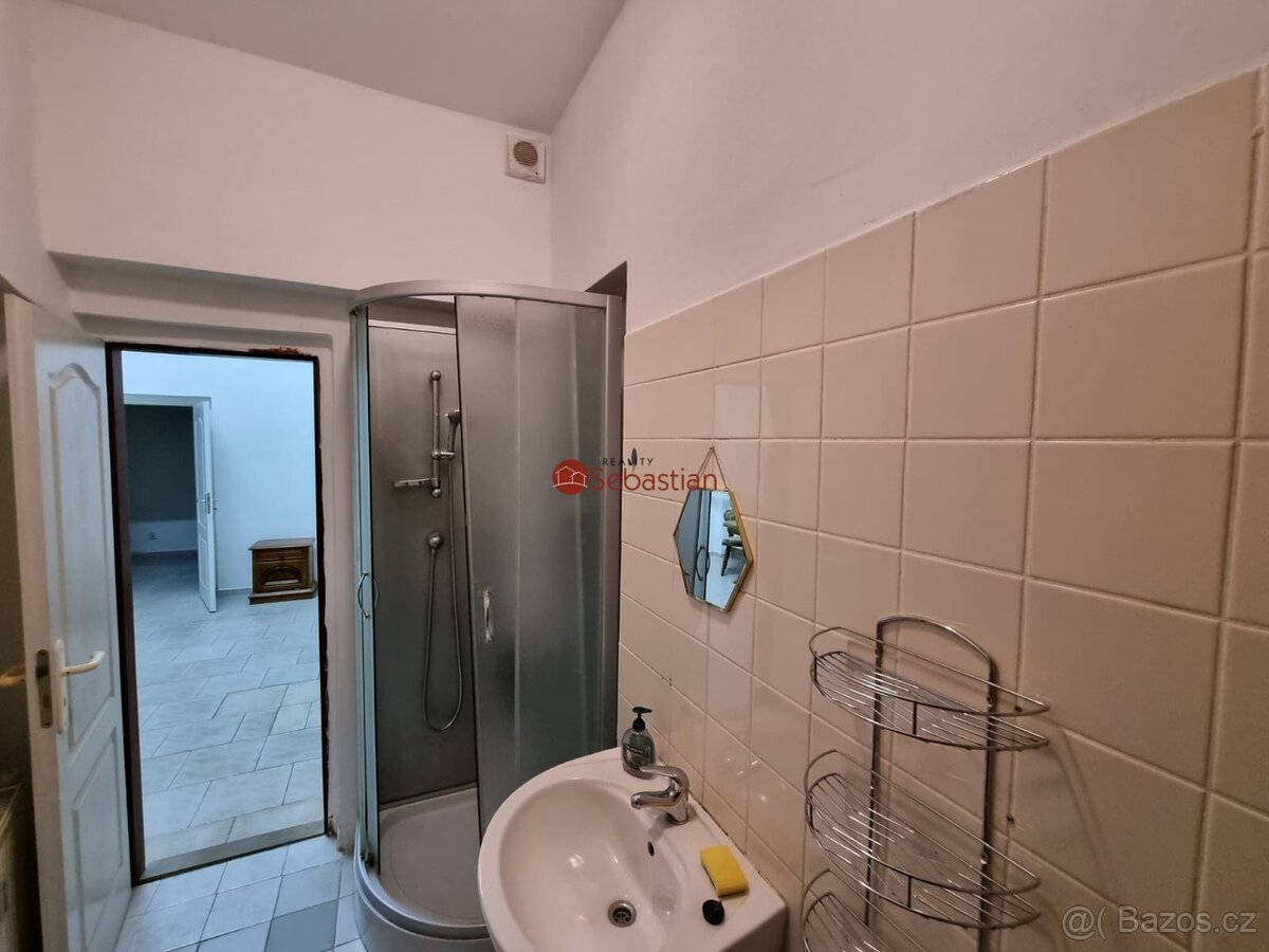 Pronájem bytu 1+1 v Teplicích ulice Dlouhá - 5