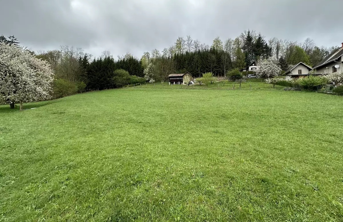 Prodam stavebni pozemek 2000m2 Šedivec - 5