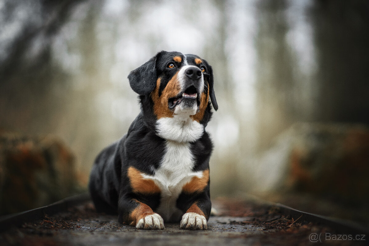 Meopta Meostigmat 100/1,7 Sony E a další - 5