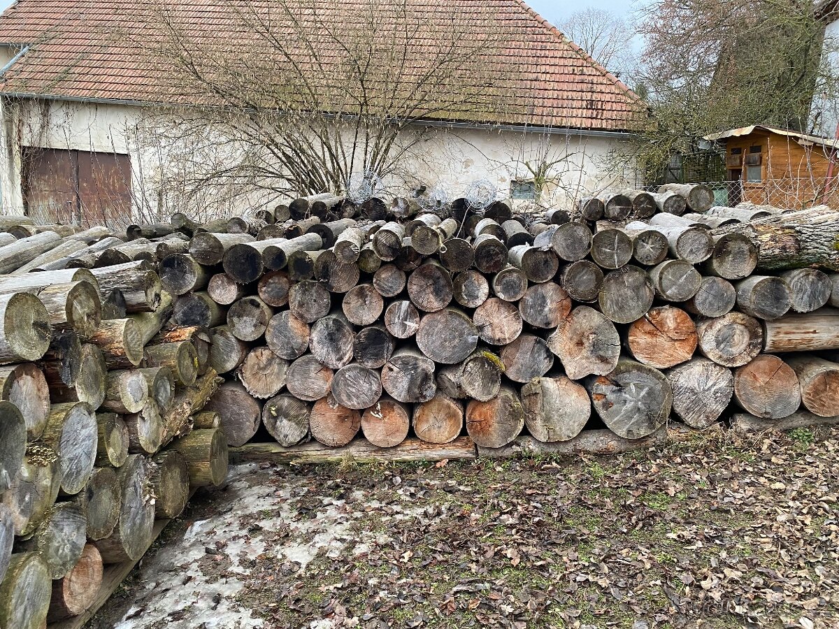 Palivové dřevo - 5
