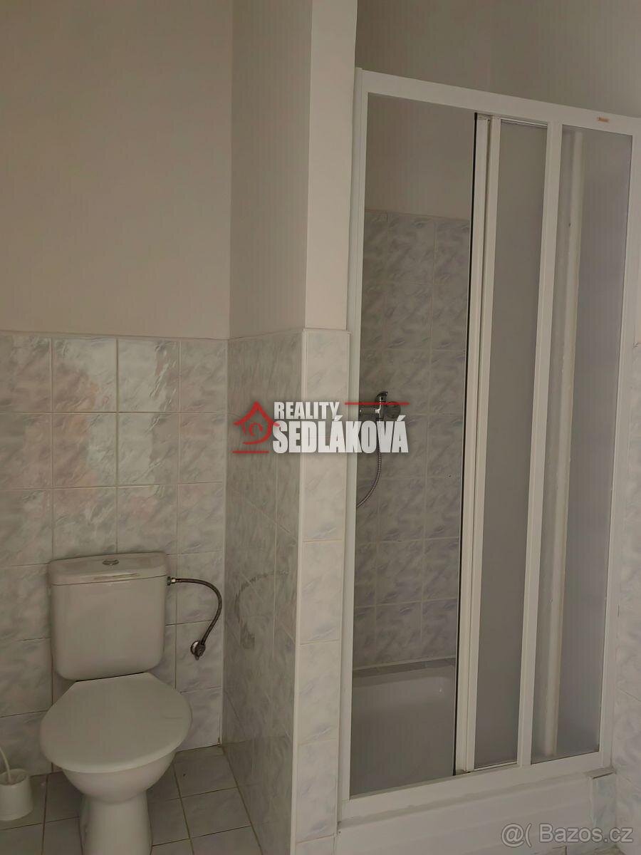 Pronájem bytu 1+1 Děčín - 5