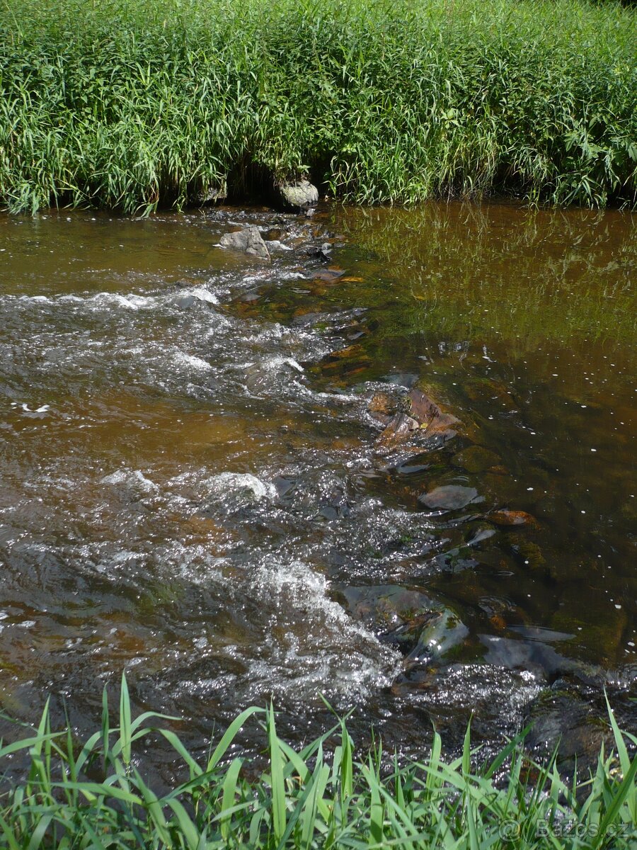 Nivní louka-Klokočov - 5