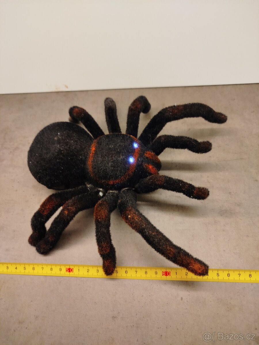 PRODÁM TARANTULI NA DO - 5