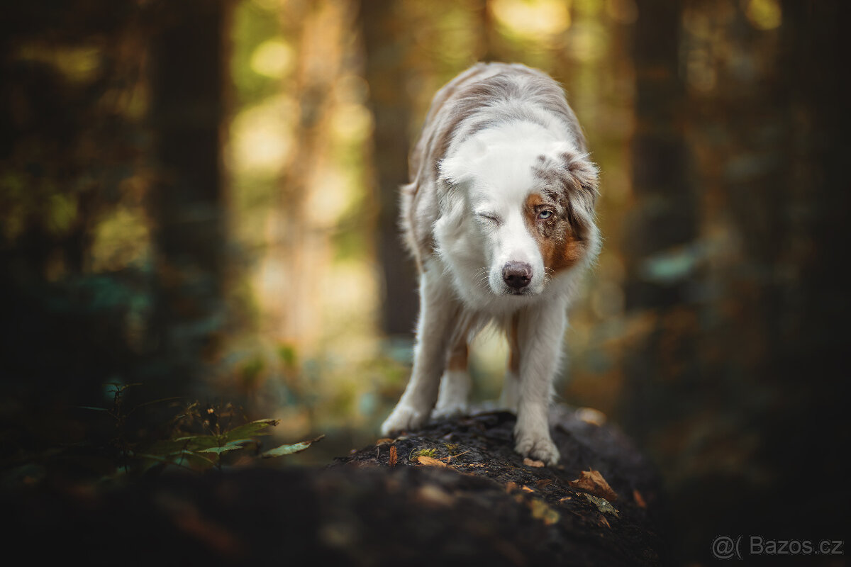 Meopta Meostigmat 120/2,1 M42 - 5