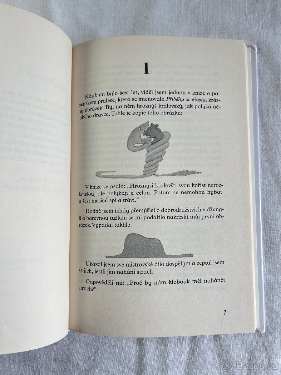 Malý princ - Antoina de Saint-Exupéry - 5