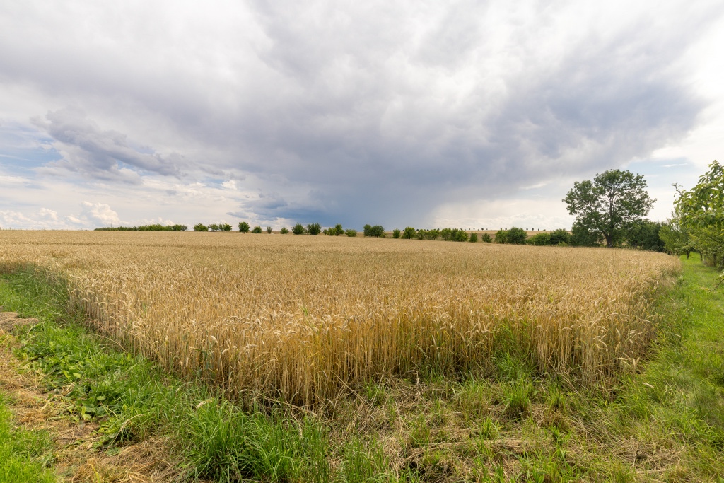Prodej stavební pozemek, Vražné - 5
