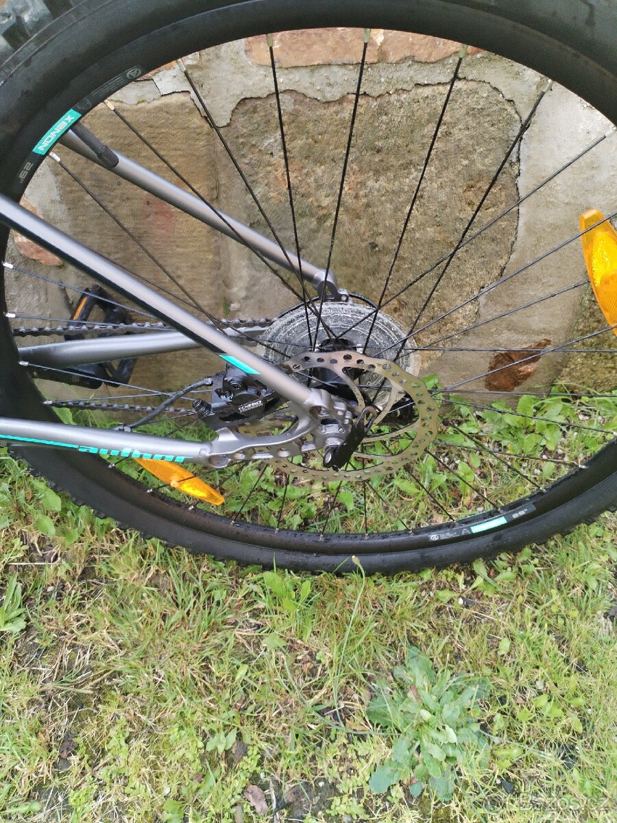 Author Solution 29 ASL - 5