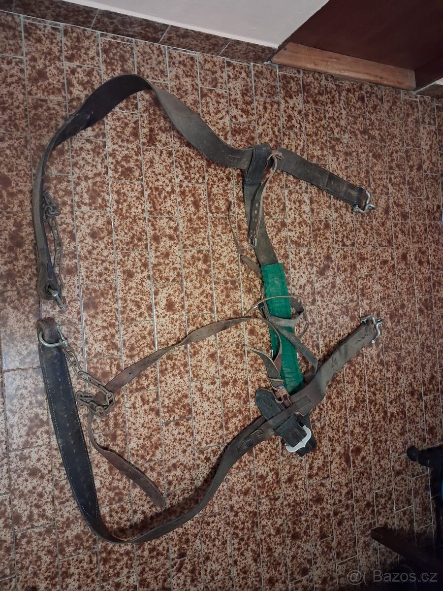 2 chomouty s pobočky - 5