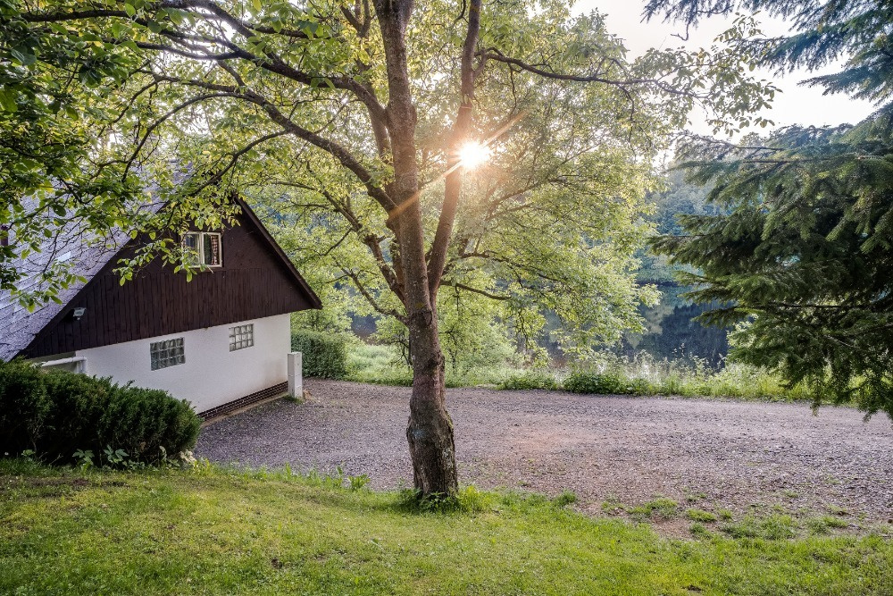 Pronájem chalupy Pastviny - 5