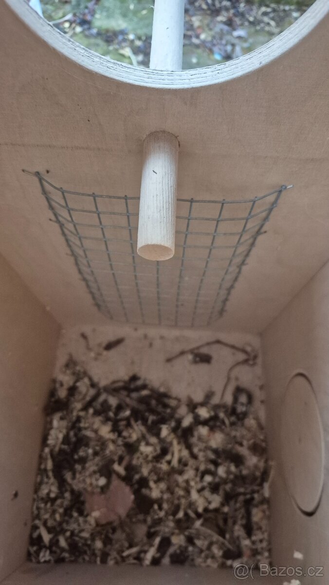 Budky pro papoušky - 5