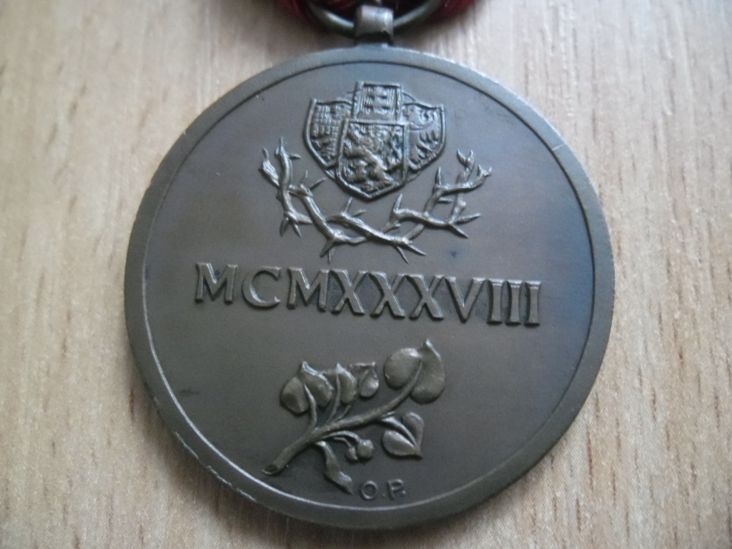 vyznamenání pro Československé dobrovolníky z let 1918-1919 - 5