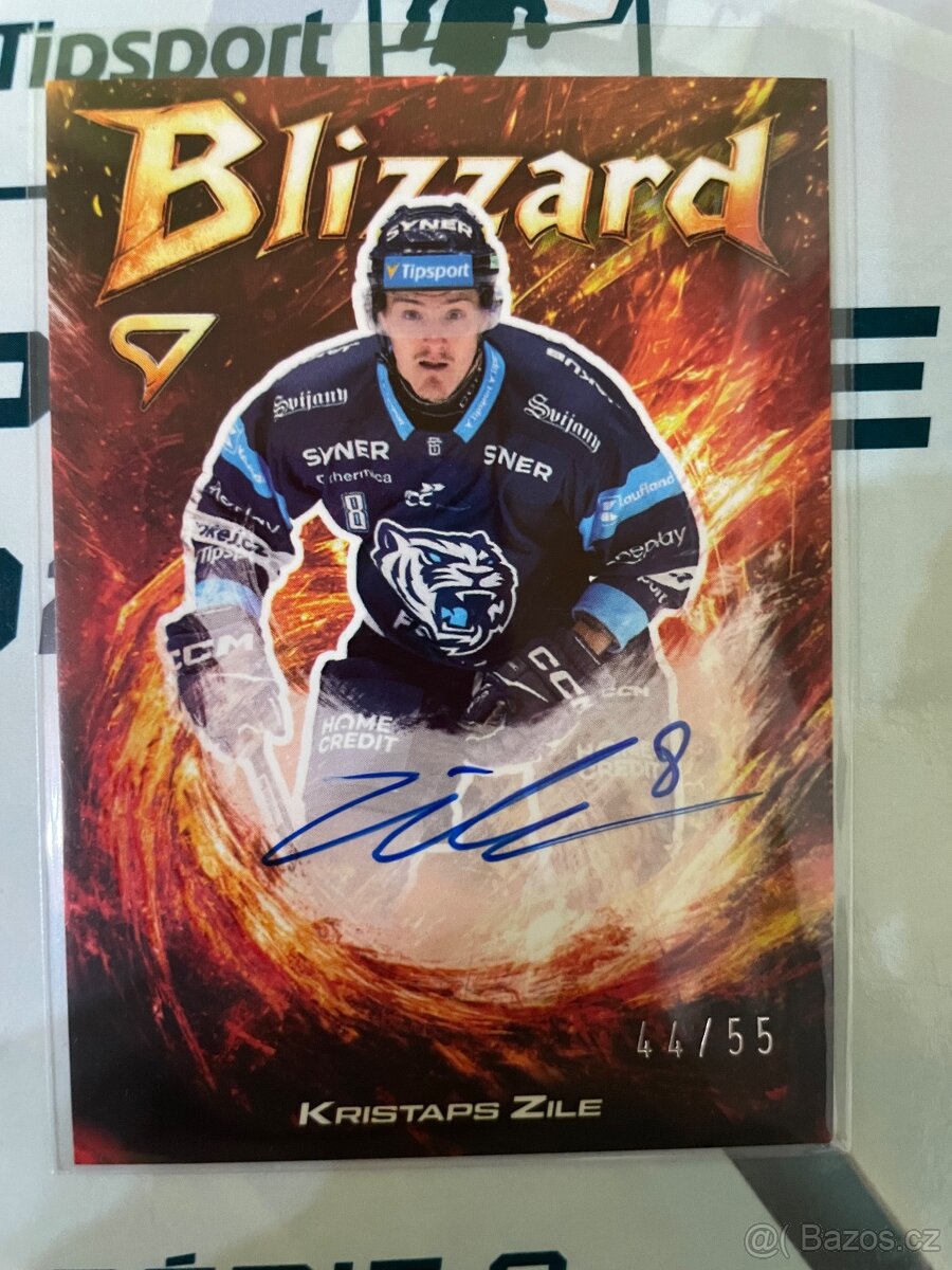 Hokejové kartičky - 5