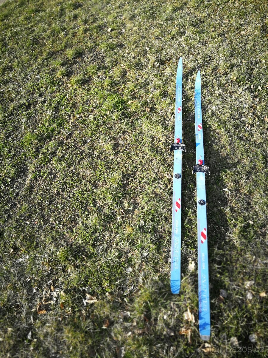 Běžky 180-210cm, hůlky, vázání 75mm Nordic Norm - 5