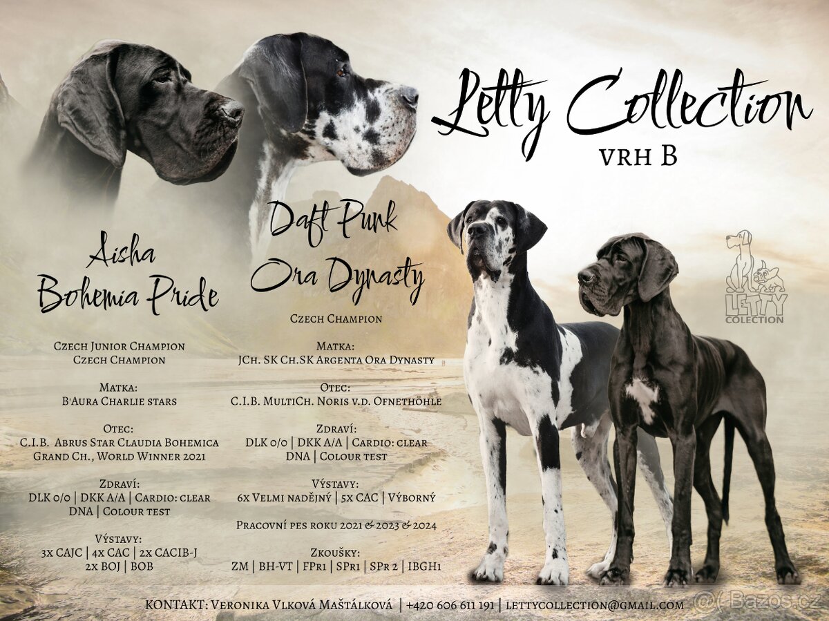 Německá doga s PP - 5