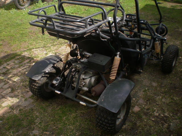 buggy 110 - 5