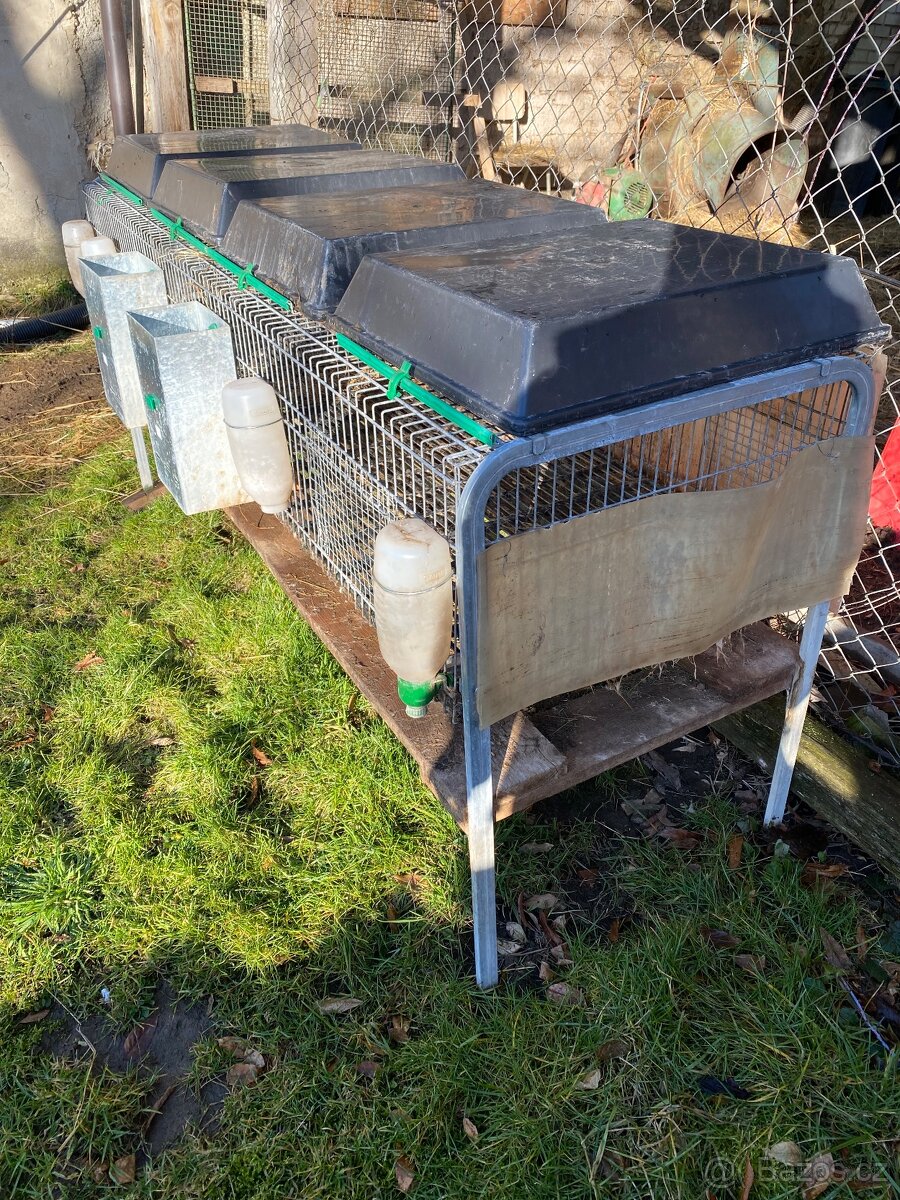 Králíkárna, výběh, odstavení - 5