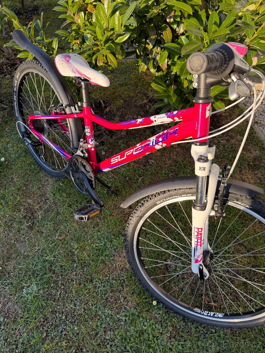 Dívčí kolo Superior Paint 24 - 5