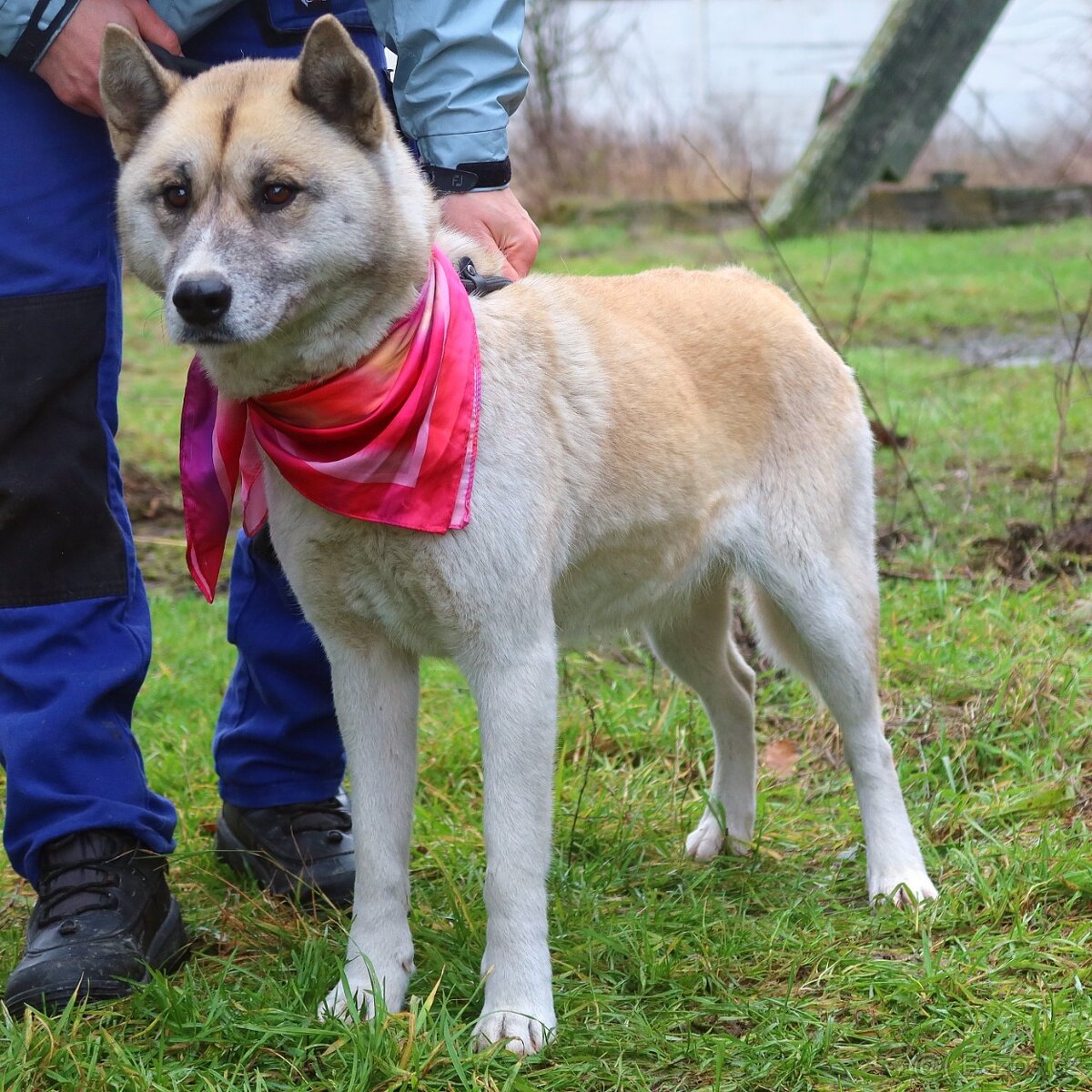 Dafne hledá domov - 5