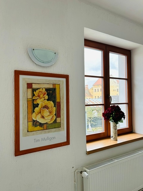 Pronájem nově zrekonstruovaného bytu - 5