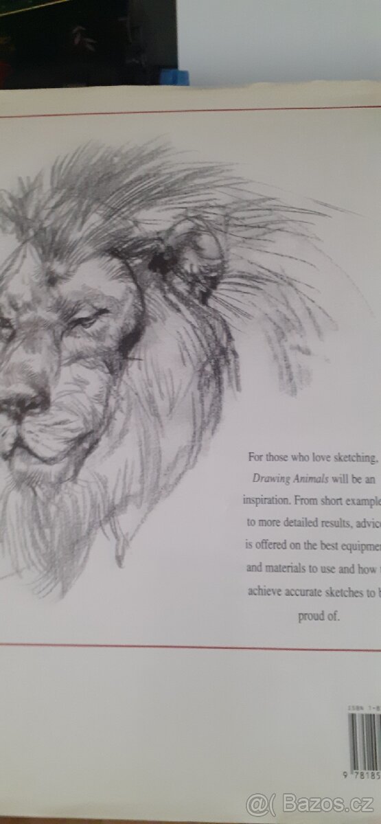 Drawing Animals kreslení zvířat - 5