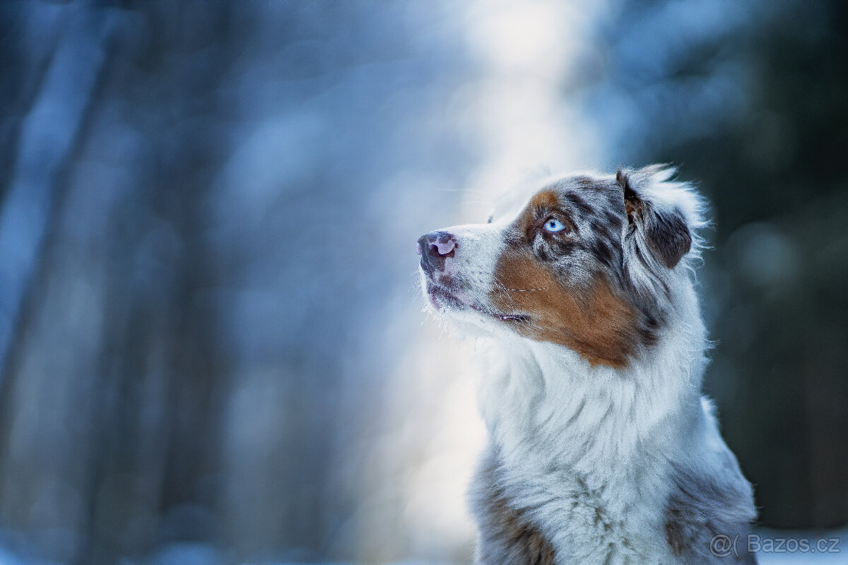 Meopta Meostigmat 109/1,7 Sony E a další - 5