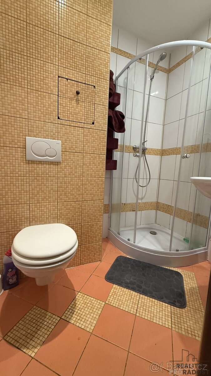 Byt 1+kk 24m²,K.Světlé , Havířov-Podlesí - 5