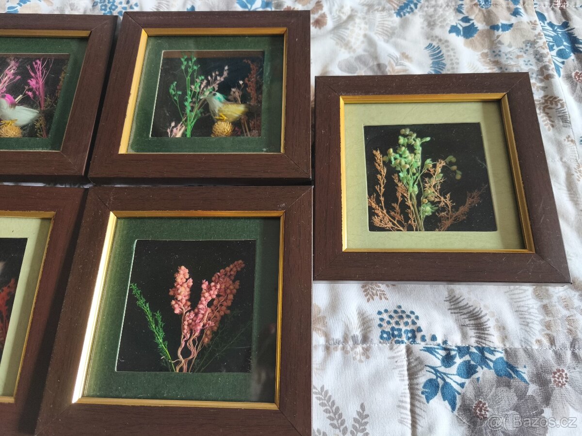 Obrazy, obrázky - 5