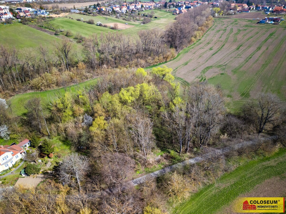 Rousínov - Čechyně, stavební parcela, 7 787 m2 – pozemek - 5