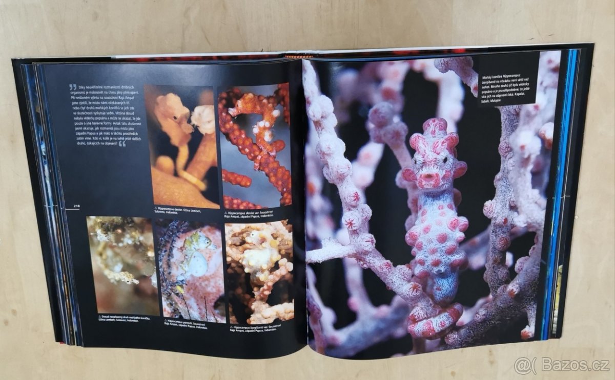 Útes - obrazová publikace - 5