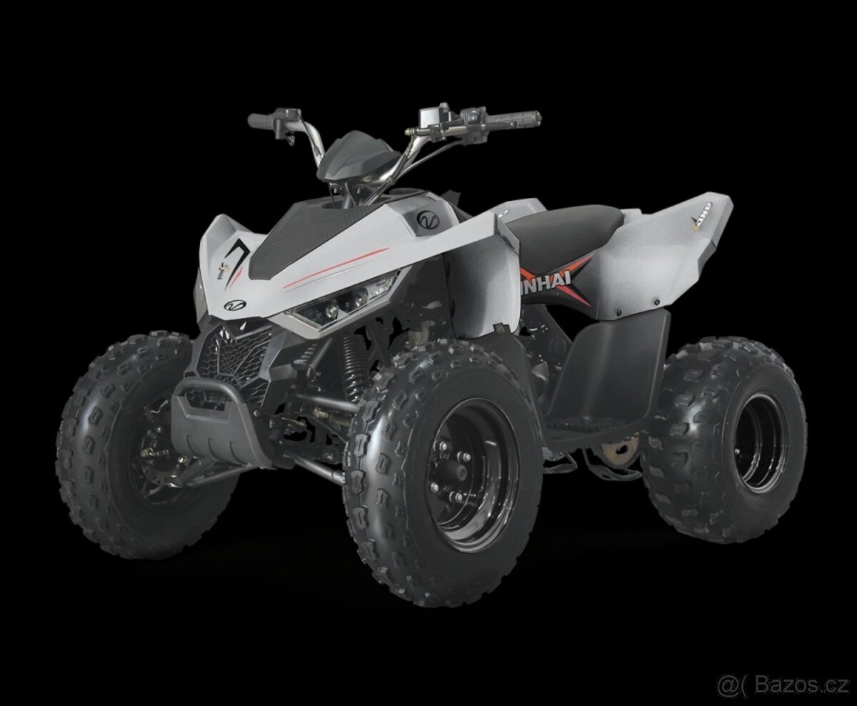 LINHAI ATV 110 2X4 EFI CE