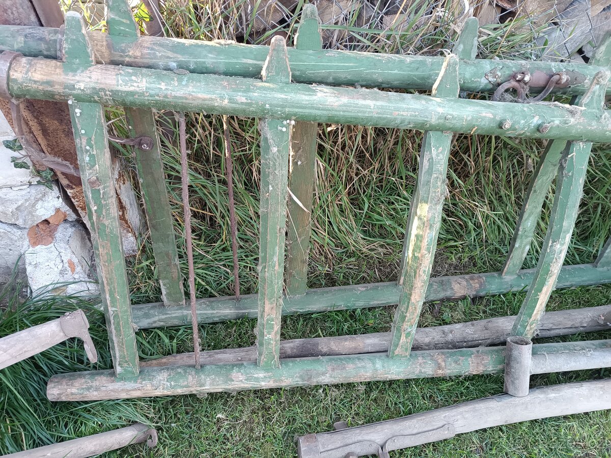 Žebřiňák - 5