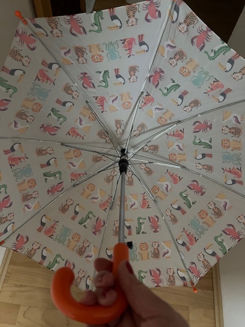 Dětský deštník zn.Rex London - 5