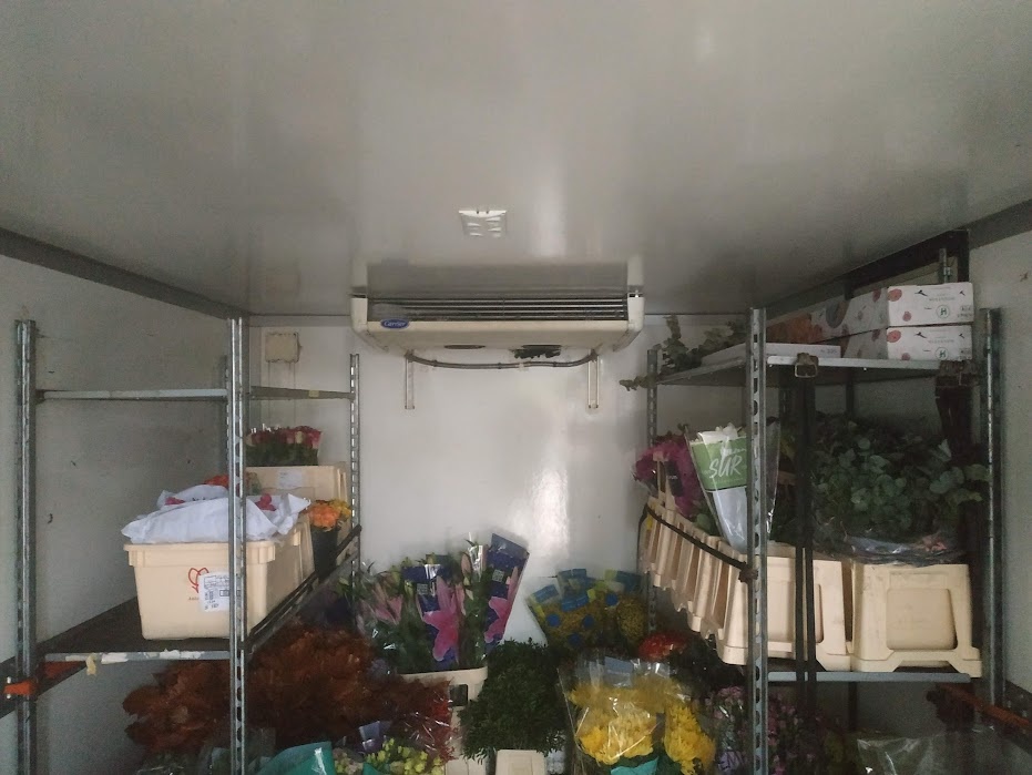 MERCEDES -BENZ , SPRINTER . 319 CDL/L FG . 2013 - 5