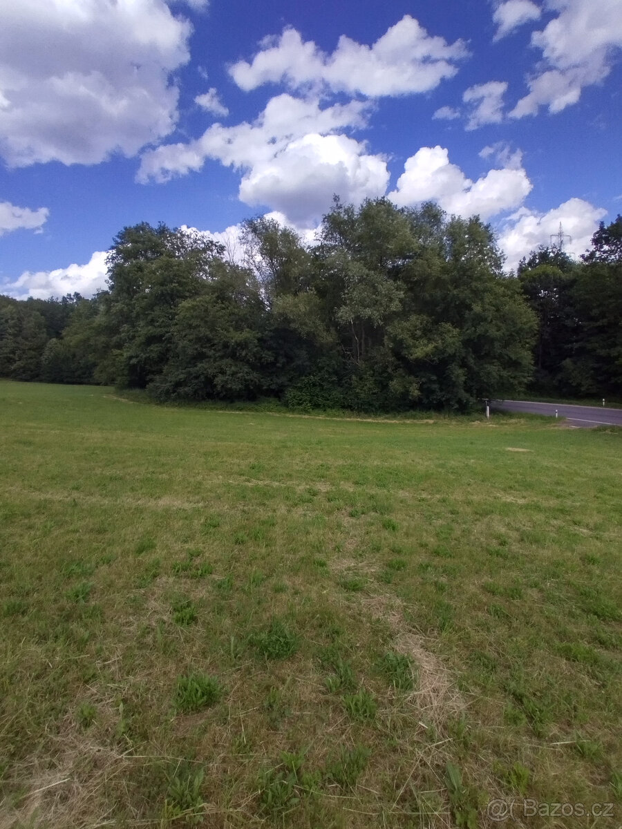 RD s pozemkem 6175m2 Závišice - 5
